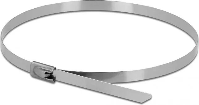 DELOCK μεταλλικός σφιγκτήρας καλωδίων 18770, 500x4.6mm, 10τμχ — εικόνα 2