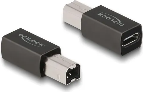 DELOCK αντάπτορας USB-C θηλυκό σε USB Type-B αρσενικό 65839, γκρι