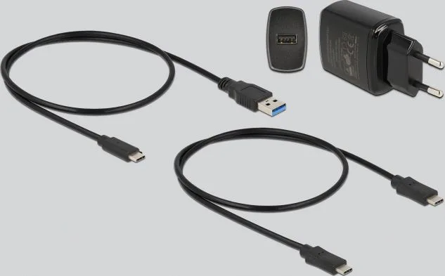 DELOCK docking station για M.2 SATA SSD 64178, 2 θέσεων, 6Gbps, clone function, μαύρο — εικόνα 4