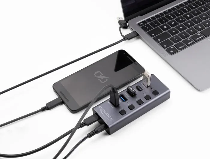 DELOCK USB hub 64248 με διακόπτες, 5x θυρών, 5Gbps, USB/USB-C σύνδεση, γκρι — εικόνα 2