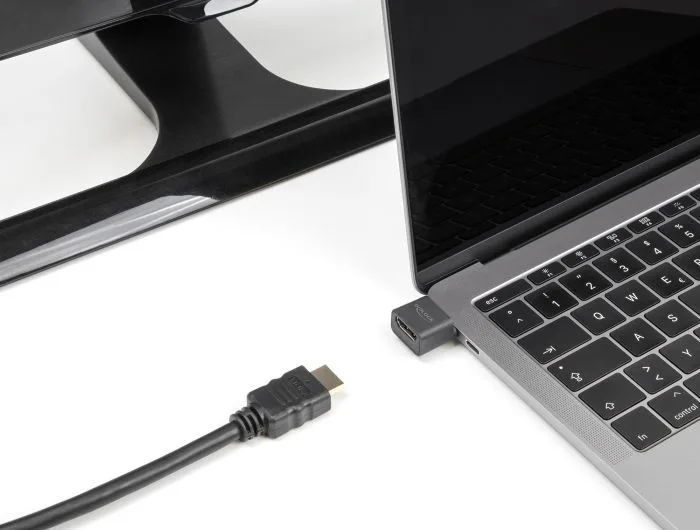 DELOCK αντάπτορας USB-C σε HDMI 64256, 4K/30Hz, μαύρος — εικόνα 2