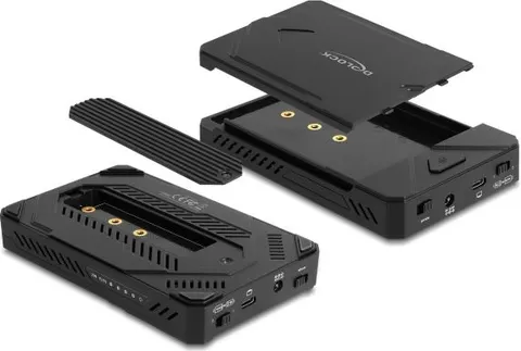 DELOCK θήκη M.2 NVMe & SATA SSD/HDD 42020, 10Gbps, λειτουργία κλώνου