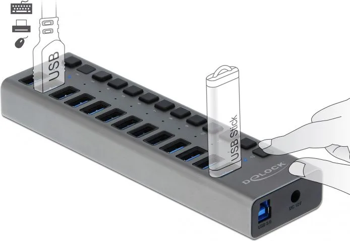 DELOCK USB hub 63738 με διακόπτες, 13x θυρών, 5Gbps, γκρι — εικόνα 2