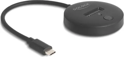 DELOCK docking station για M.2 NVMe/SATA SSD 64254, 10Gbps, μαύρο