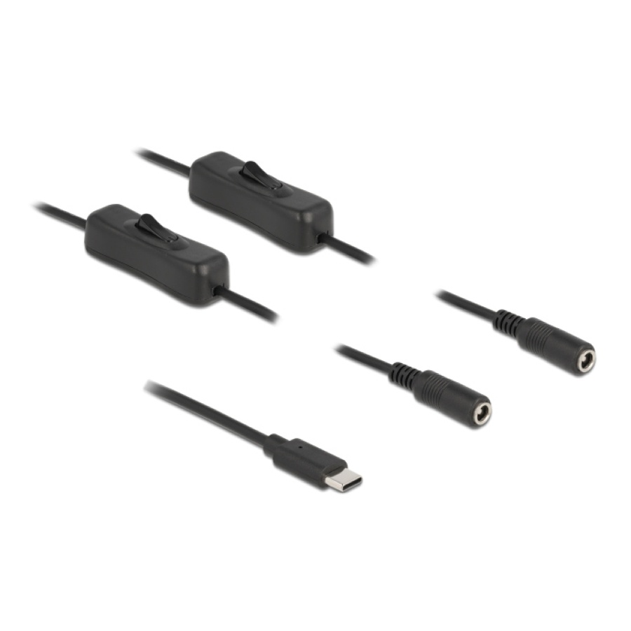 DELOCK καλώδιο USB Type-C σε 2x DC 5.5 x 2.1mm 86800, 1m, μαύρο - Image 2