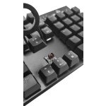 POWERTECH gaming μηχανικό πληκτρολόγιο PT-1254, ενσύρματο, RGB, μαύρο - Image 6
