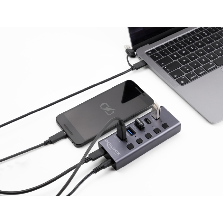 DELOCK USB hub 64248 με διακόπτες, 5x θυρών, 5Gbps, USB/USB-C σύνδεση, γκρι - Image 2