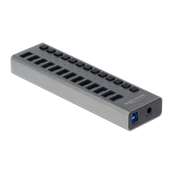 DELOCK USB hub 63738 με διακόπτες, 13x θυρών, 5Gbps, γκρι